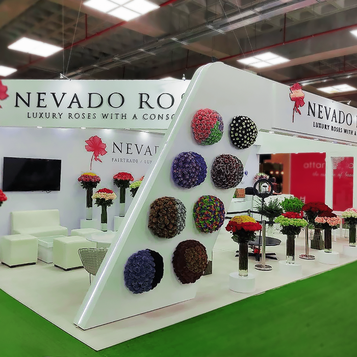 stands quito